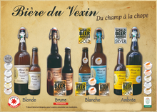 Charger l'image dans la galerie, Bière du Vexin La Blonde 33cl X6 du Champ à La Chope
